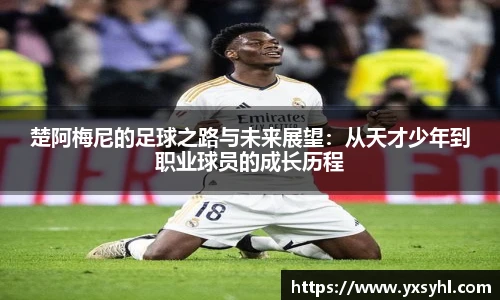 华体会hth体育登录